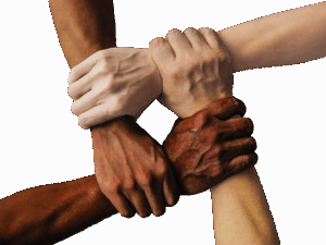 九州で犬と泊まれる旅館のおすすめはどこ？