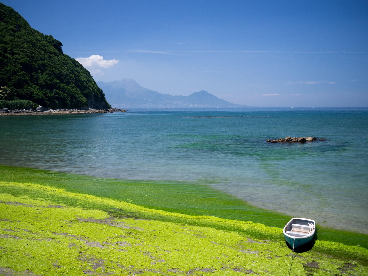 九州でペットと一緒に楽しめる旅行プランは？