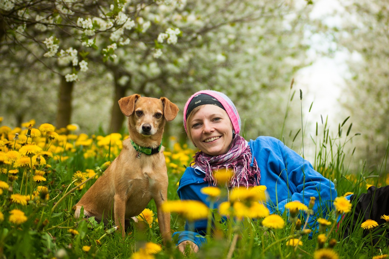 九州で犬と一緒に旅行するならどこがいい？