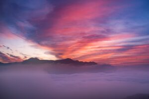 熊本で犬と泊まれる宿のおすすめはどこですか？