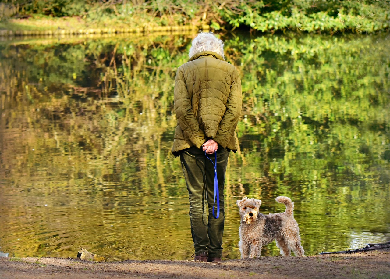犬連れて行ける場所は九州のどこがおすすめですか？