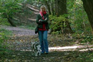 犬連れで楽しむ九州旅行におすすめのフェリーは？