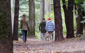 犬連れのための九州旅行プランはどのように立てればいい？