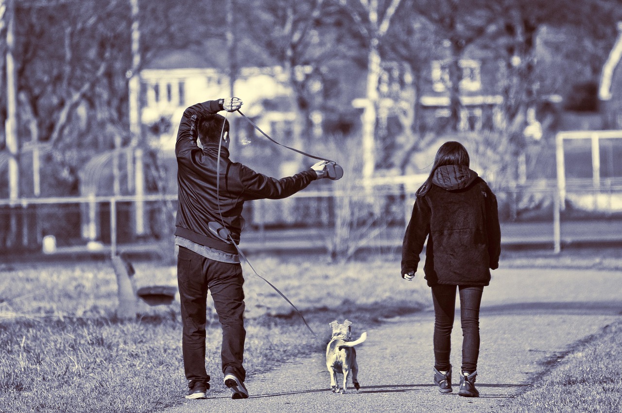 犬連れの九州旅行で役立つコツは？