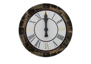 九州のペットと一緒に泊まれる宿で12時チェックアウトが可能なところは？