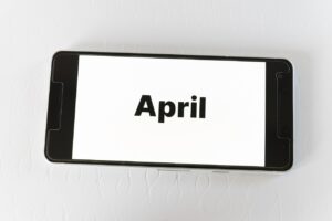 九州でペットと宿に1ヶ月滞在する場合の費用はどのくらい？