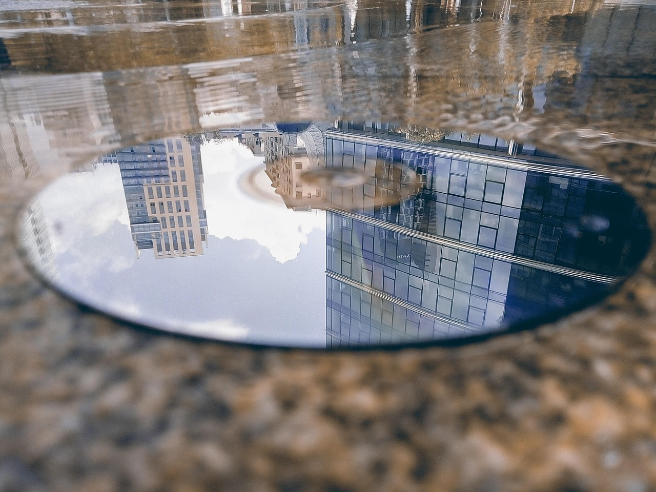 九州のペット宿でワーケーションを楽しむための犬との過ごし方は？