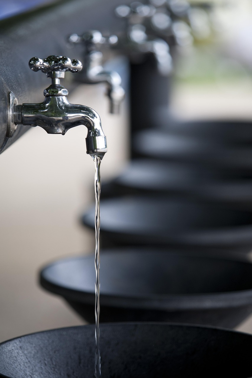 九州のペット宿で飲料水は硬水と軟水どちらが良い？