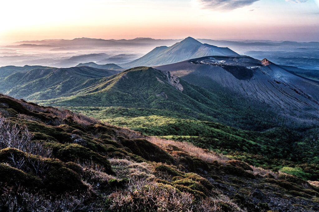九州のペット宿に必要な持ち物リストは？