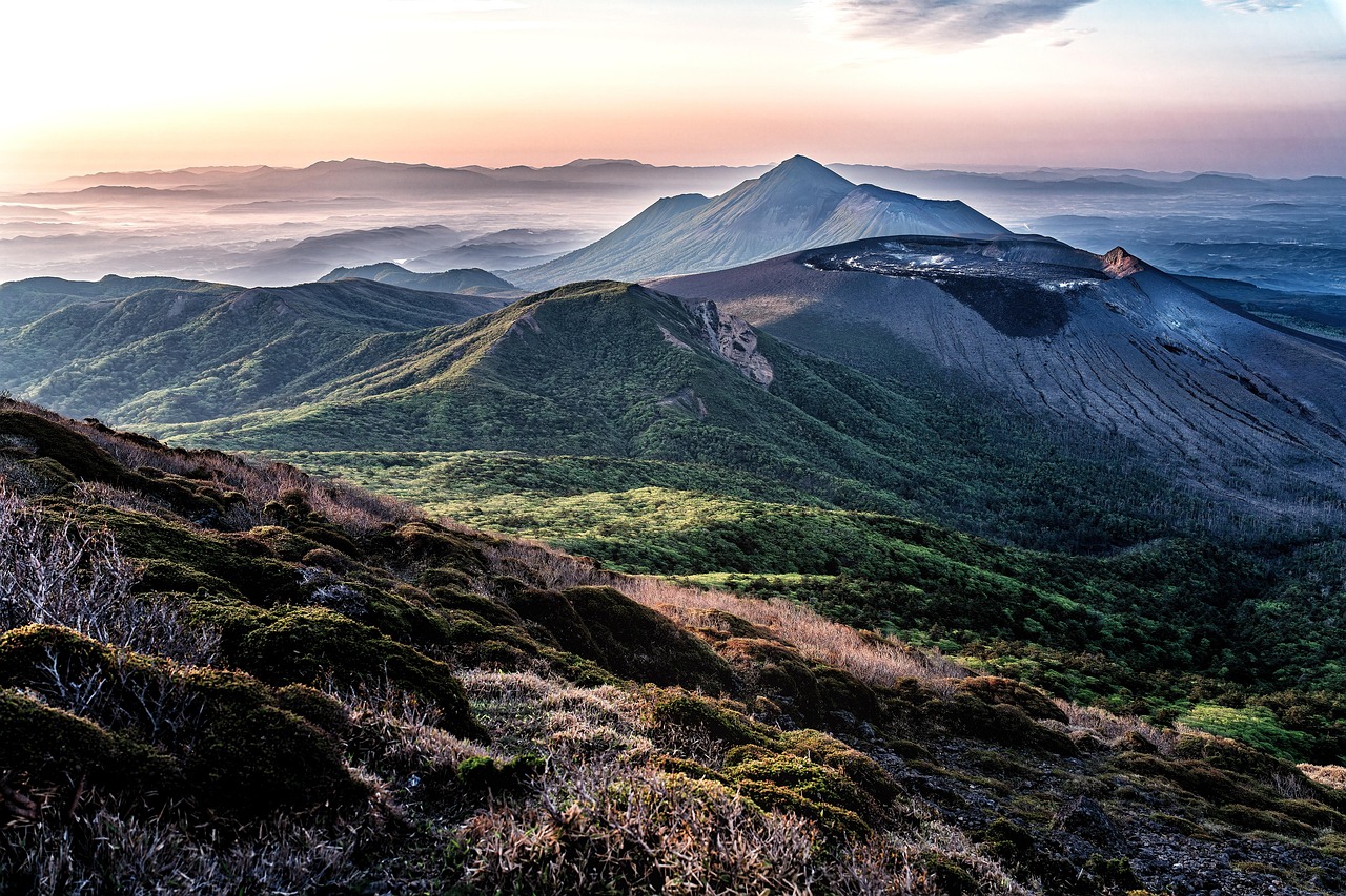 九州のペット宿に必要な持ち物リストは？