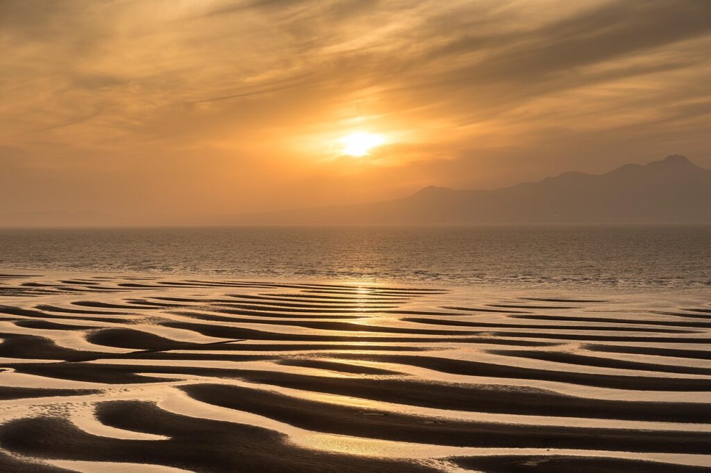 九州のペットと一緒に泊まれる宿で夕日が綺麗な場所は？